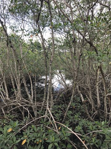 Lost Pond, accessible only by kayak