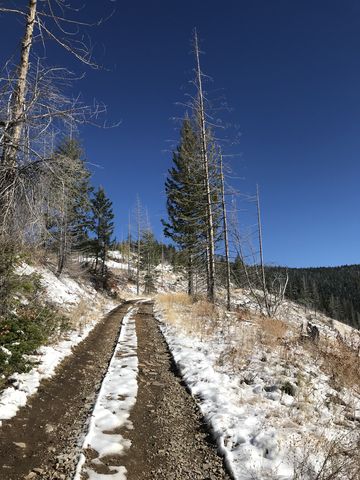 FR 2309 below Boise Peak