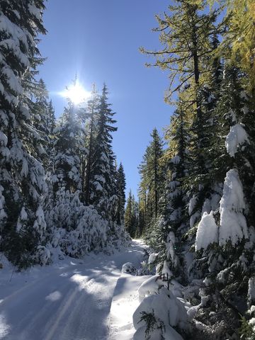 Snow-covered FR 2309. Its possible to drive to within a mile or so of the peak