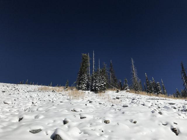 Looking up at the saddle between Boise Peak and Latour Peak