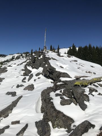 Looking upwards towards Latour Peak