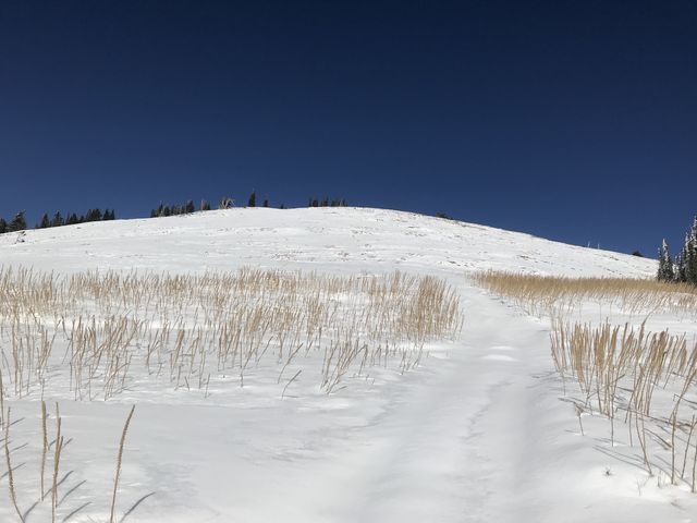 Old ATV trails are visible beneath the snow. Looking at the top of Latour Peak