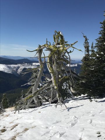 Geocache spoiler picture