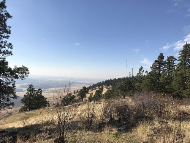 View from Kamiak Butte