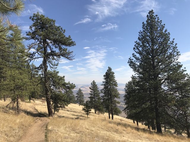 The trail follows the spine of the ridge