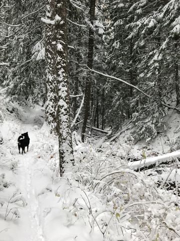 Maiden Creek makes an appearance about a mile downhill