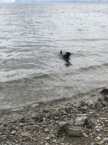 Despite the freezing temperatures, Naughty went for a dip