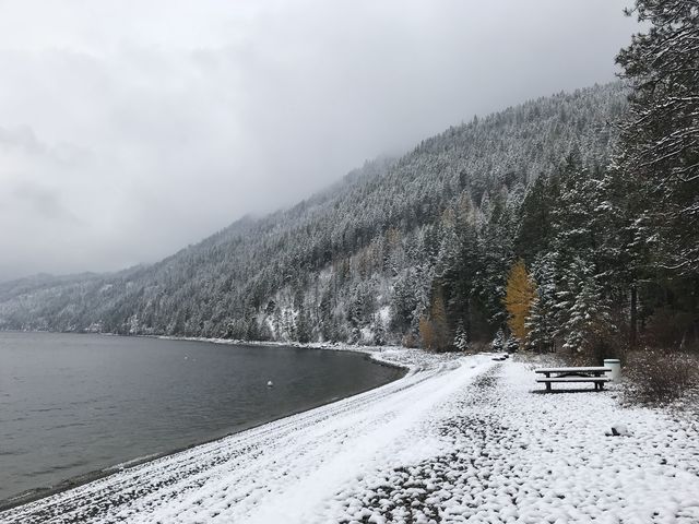 Maiden Rock beach. Note the bright-orange larches