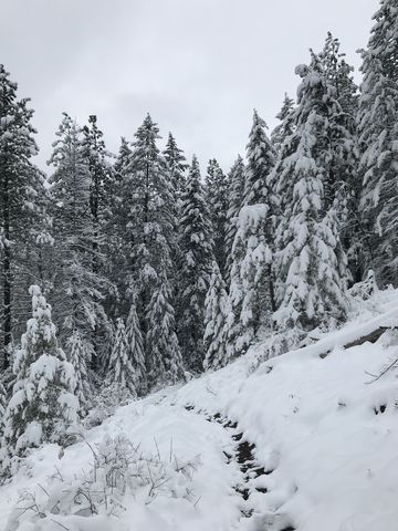 The trail was relatively easy to find, despite the snow, but loose rocks made for treacherous footing