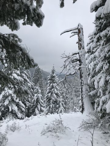 View towards Lake Cocolalla