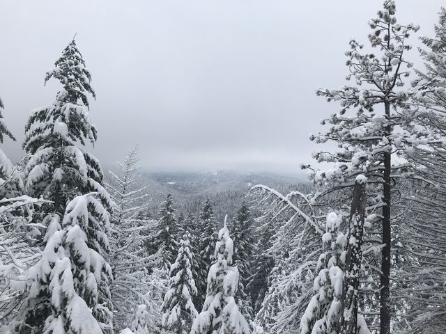 We saw lots of trees, but neither of the lakes