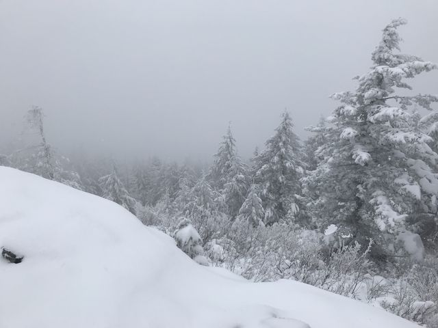 The view from Blacktail Mountain. It was grand as long as you like white