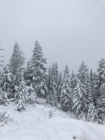 We continued southeast along the ridge for a bit, but the white curtain wouldnt lift