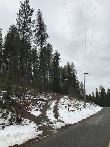 The trail begins at the gated mining road (what used to serve the Milwaukee Mine)