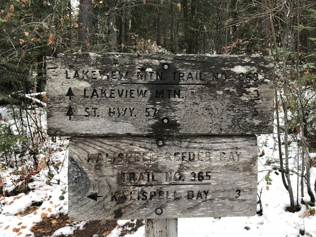 Fork to Lakeview Mountain