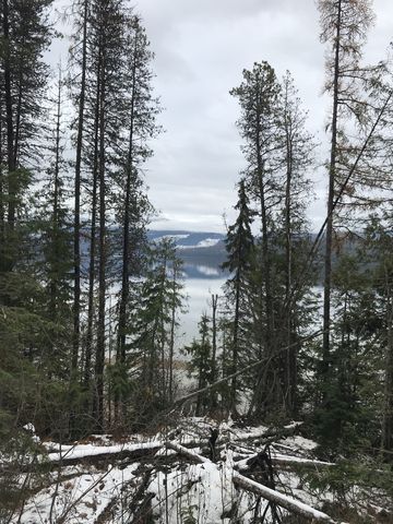 A rare glimpse at the lake where a slide took out a bunch of trees