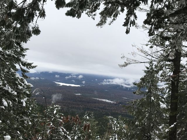 There was less fog over the trees, making for good westwards views while climbing Lakeview Mountain