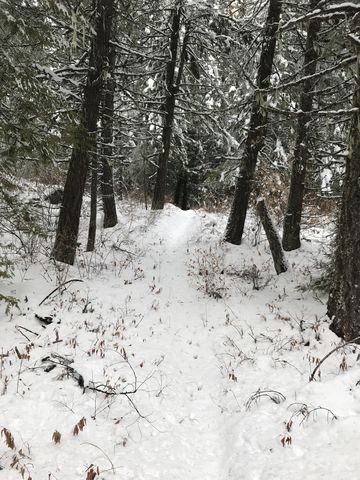 Lakeview Mountain is really a mile-long ridge with a number of humps and depressions. Mostly its quite flat