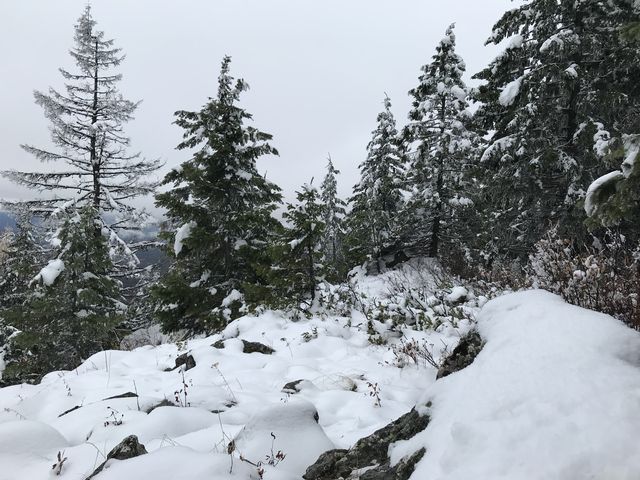 Lakeview Mountain (the tallest hump). The trail bypasses the high point and thus it requires a bit of bushwhacking