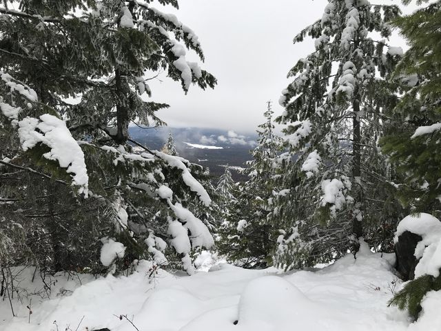 Belying its name, Lakeview Mountain doesnt offer much of a view. Its almost entirely hemmed in by trees.