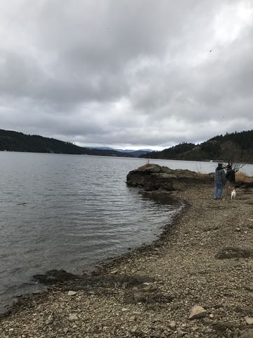 Gravel beach beneath Higgens Point