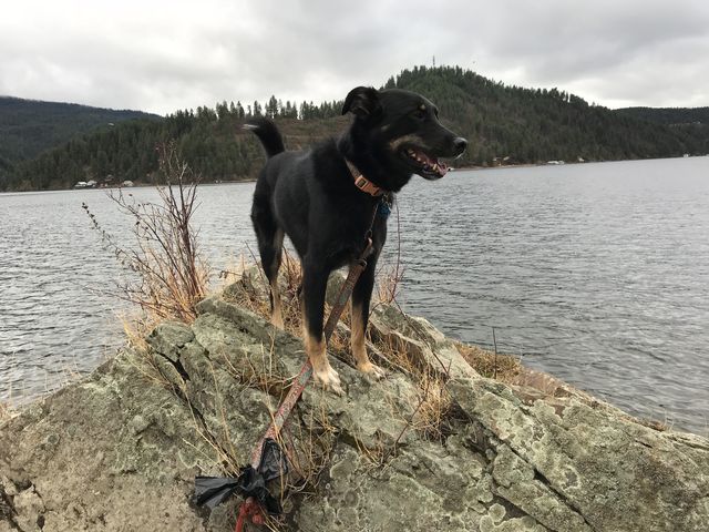 Naughty posing atop a rock