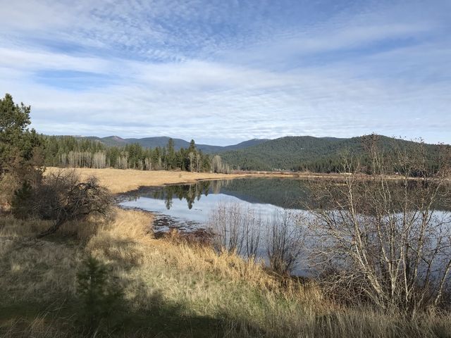 Newman Lake from Turtle Rock