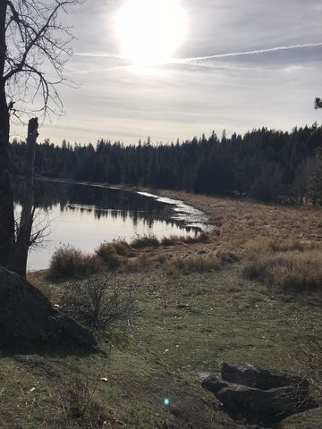 Looking south along the shore of Newman Lake