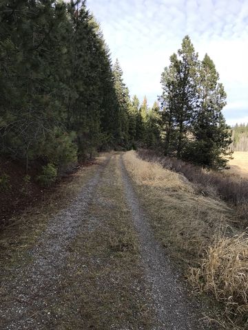 Much of the Turtle Rock trail is an old gravel road