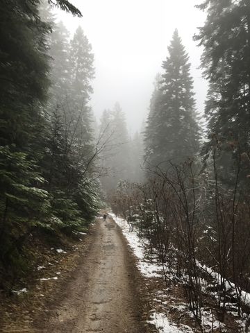 Getting foggy on trail A
