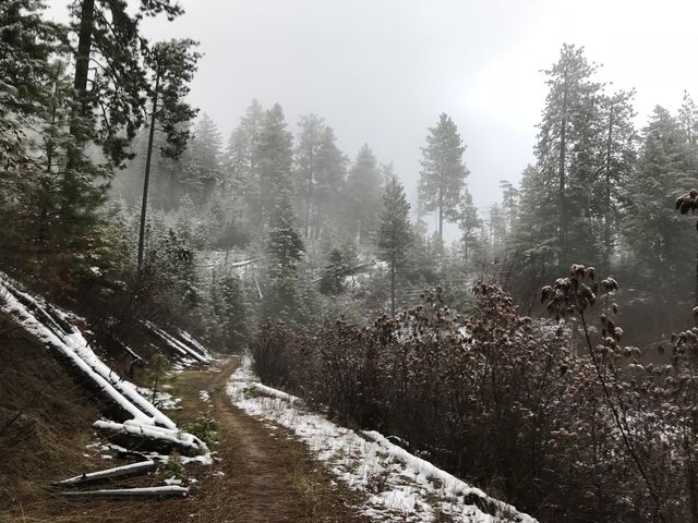 Trail A contours relatively levelly along the mountain