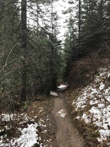 Trail #4 is a one-way downhill