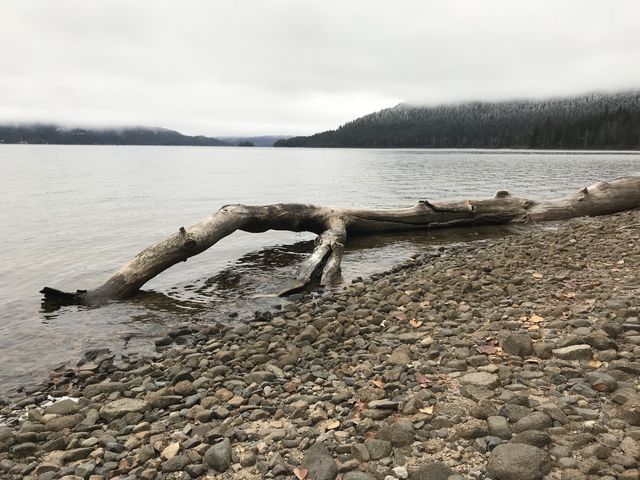 Priest Lake, looking south from Distillery Bay