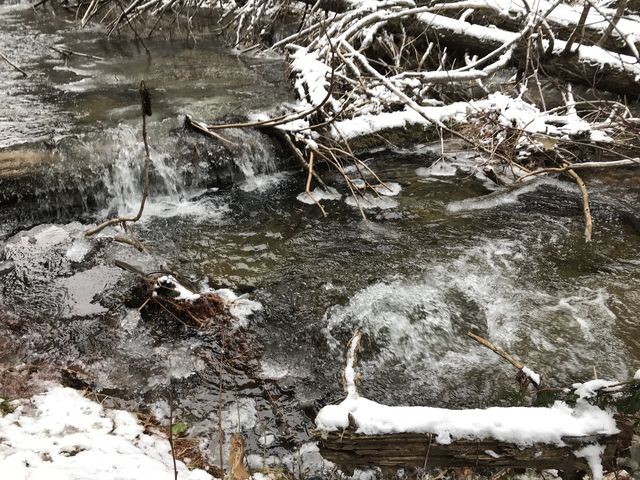 Beaver creek