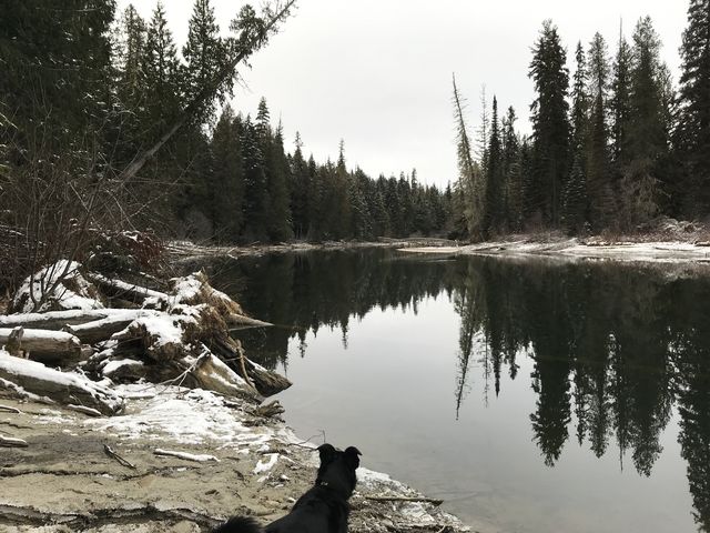 Thorofare (connector between upper and lower Priest Lake)