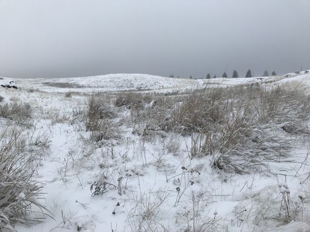 Most of the Scroggie parcel is rolling wetlands and grasslands