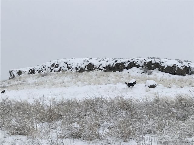 Many rock formations make for a varied landscape