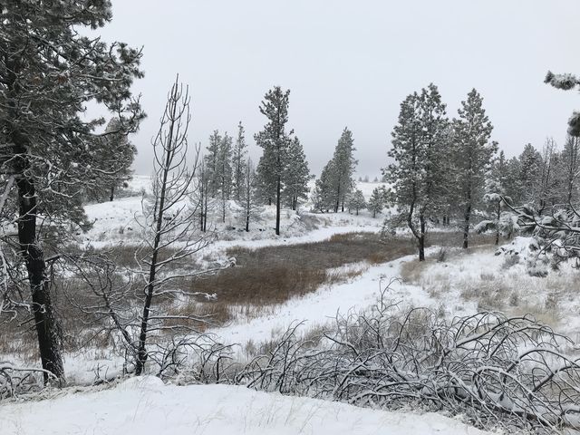 A large coulee, which is probably a pond in spring