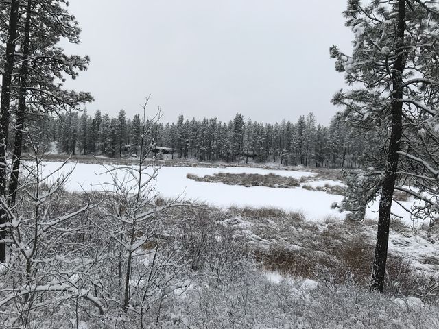 Kepple Lake, taken from overlook