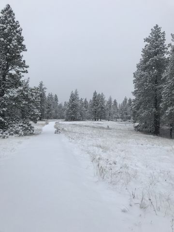 Kepple Peninsula trail