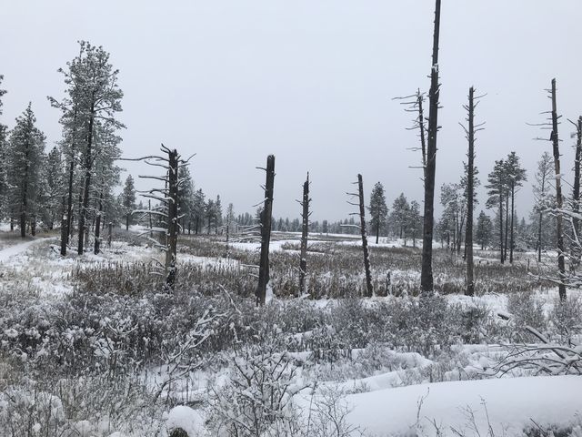 Trail leading out towards 30 Acre Lake