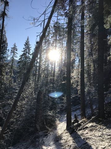 The winter sun slanting low across the hills