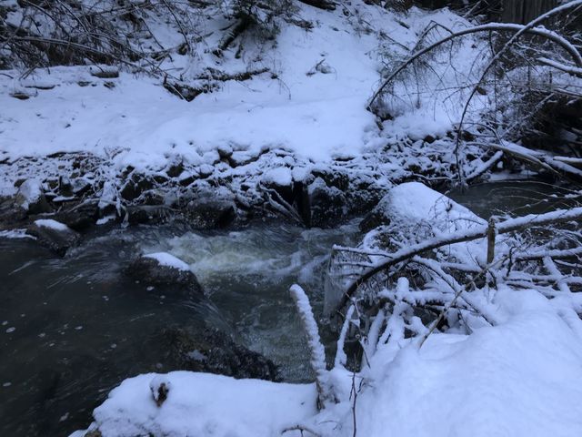 There are a fair number of creek crossings. This one is easy