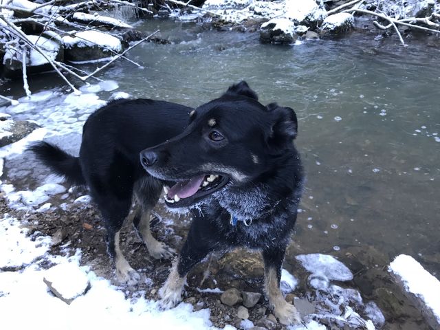 Naughty enjoying the water