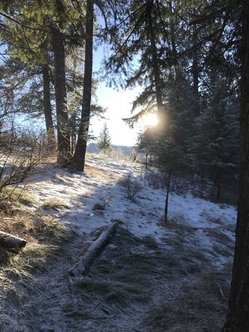 The sun lighting up a hillside meadow