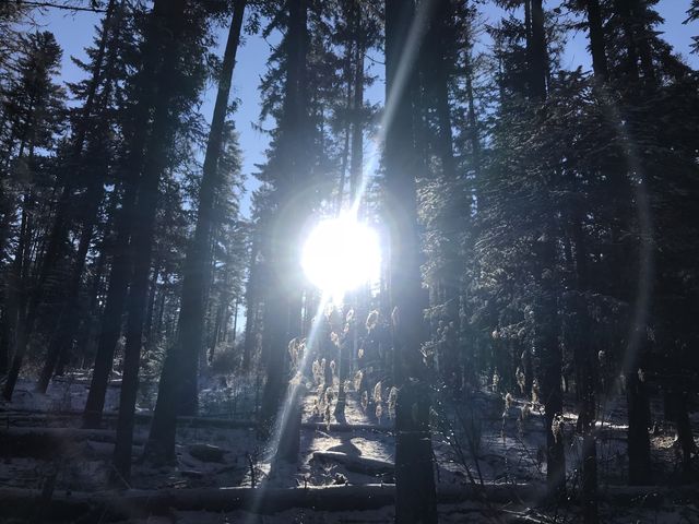 During the winter months this trail is mostly in the shade. Its nice to see the sun through the trees