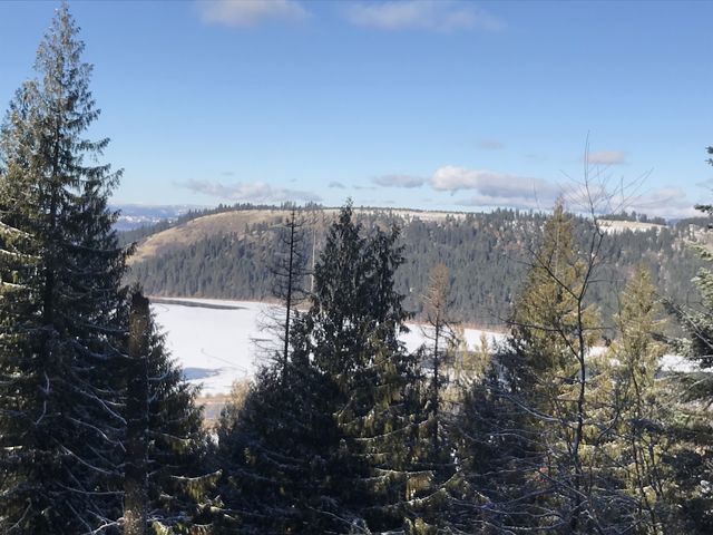 View of Lake Chatcolet near the eastern end of the loop