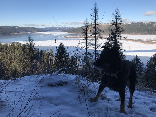 Naughty posing on a cliff with Lake Chatcolet in the background