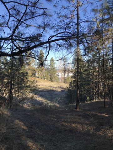 Trail near Camp Caro winter parking lot