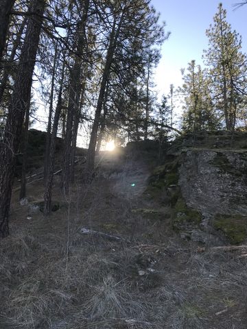 Sun poking over a ridge near the Pond Loop trail